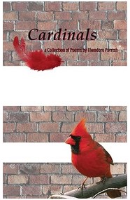 Front cover of Cardinals Front cover of Cardinals